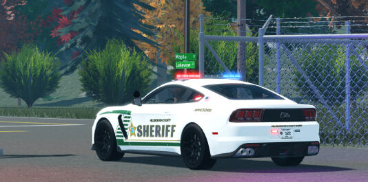Tampa Sheriffs
